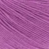 fuchsia-1142-0066