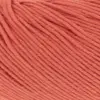 tomate-1142-0161