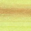 yellow-apricot-1158-0053