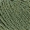 fern-933-0117