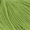 grasgruen-959-0117