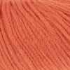 tomate-959-0161