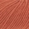 pumpkin-1162-0059