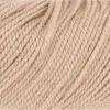 apricot-1167-0027