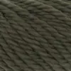 fern-1000-0217