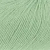 erbse-1062-0116