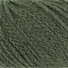 fern-1124-0217