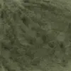 fern-1149-0217