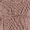 rosa-1172-0019