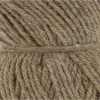 camel-1172-0039
