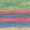 lachs-rot-gelb-blau-1174-0007