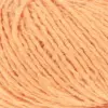 apricot-1182-0027
